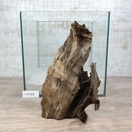 CATEGORY 30cm水槽サイズ | 流木専門店のアクアリバー/アクアリウム