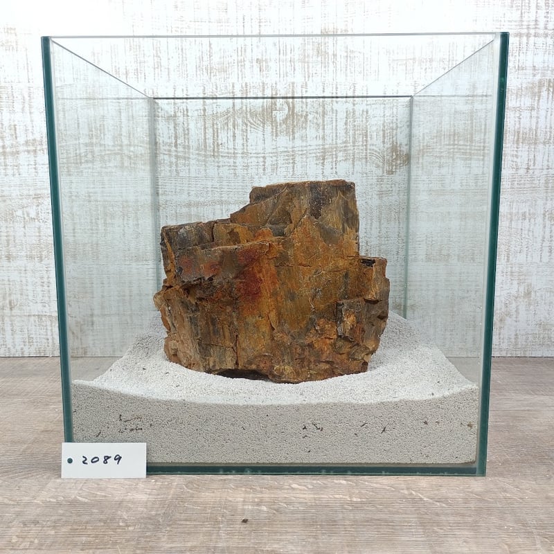 BIG木化石 NO.2089（W約21/約H18cm/約3.9kg)(30cm水槽） | 流木
