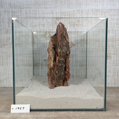 BIG気孔石　１点もの　No.1957（W約30cm)(30cm水槽）