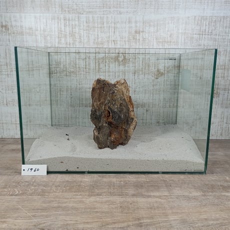 BIG木化石　NO.1960（W約22cm/H約15cm)(45cm水槽）