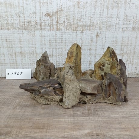 希少気孔石山  小サイズ（美型） 一点物の水槽オブジェ No. 19678 (30cm水槽)(W約18cm/H約9cm)