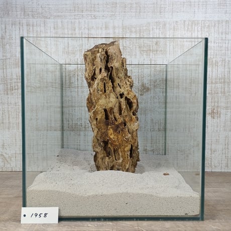 BIG気孔石　１点もの　No.1958（W約31cm)(30cm水槽）