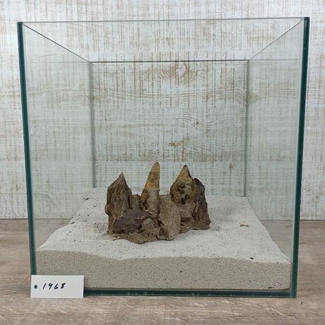 希少気孔石山  小サイズ（美型） 一点物の水槽オブジェ No. 19678 (30cm水槽)(W約18cm/H約9cm)