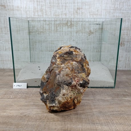 BIG木化石　NO.1961（W約21cm/H約15cm)(45cm水槽）