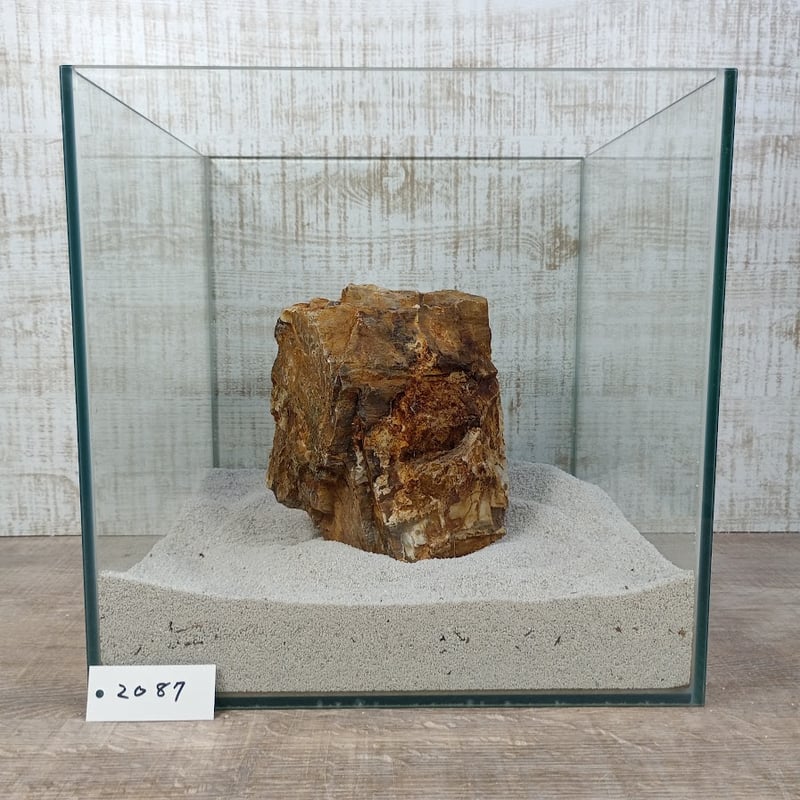 BIG木化石 NO.2087（W約18/約H16cm/約3.1kg)(30cm水槽） | 流木