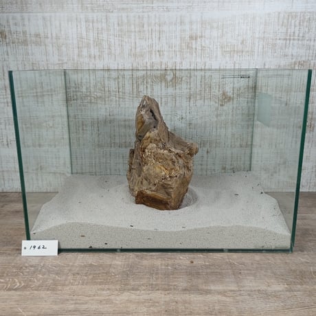 BIG木化石　NO.1962（W約23cm/H約16cm)(45cm水槽）