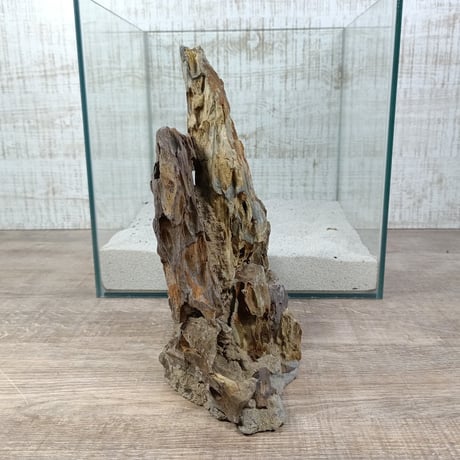希少気孔石山（美型） 一点物の水槽オブジェ No. 1967  (30cm水槽)(W約20cm/H約25cm)