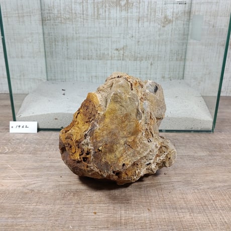 BIG木化石　NO.1962（W約23cm/H約16cm)(45cm水槽）
