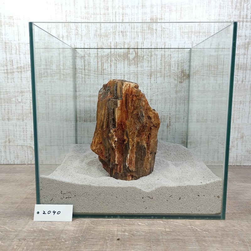 BIG木化石 NO.2090（W約16/約H19cm/約3.6kg)(30cm水槽） | 流木