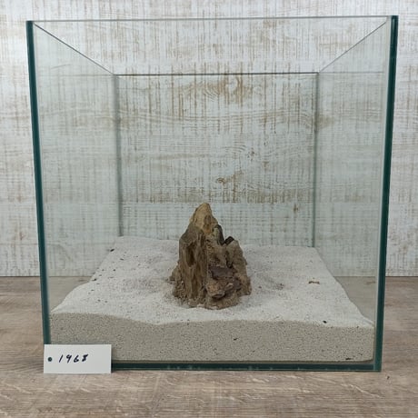 希少気孔石山  小サイズ（美型） 一点物の水槽オブジェ No. 19678 (30cm水槽)(W約18cm/H約9cm)