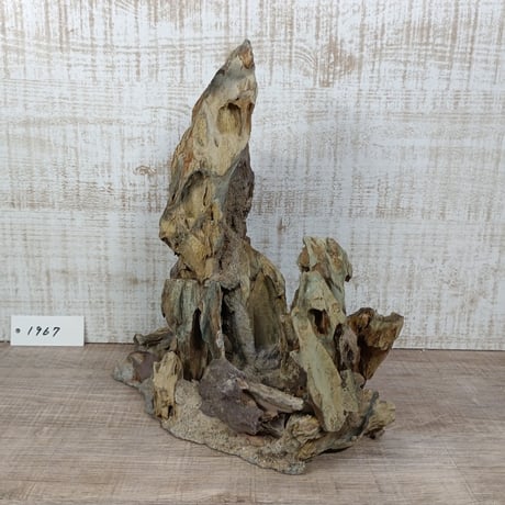 希少気孔石山（美型） 一点物の水槽オブジェ No. 1967  (30cm水槽)(W約20cm/H約25cm)