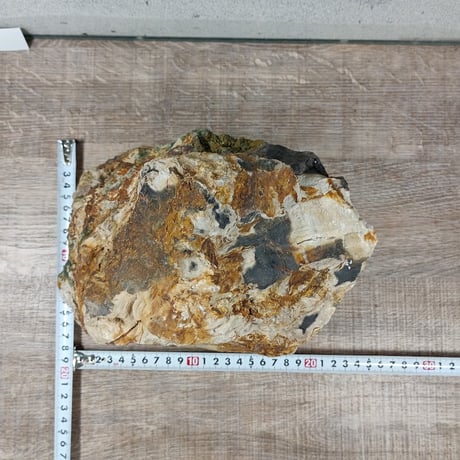 BIG木化石　NO.1961（W約21cm/H約15cm)(45cm水槽）