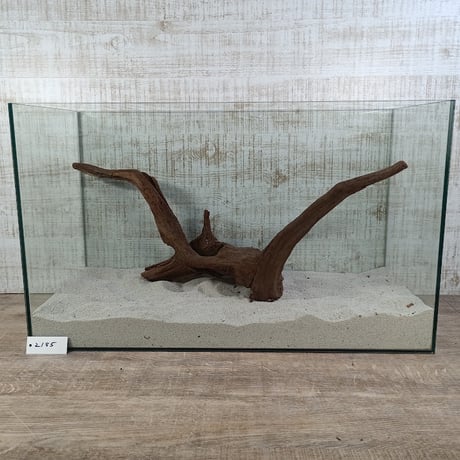 Long マングローブ系流木  2L～3L サイズ　オンリーワン ★現物撮影  1点　No.2185(W約58㎝）