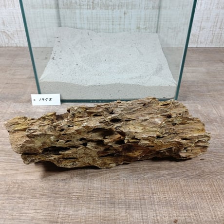 BIG気孔石　１点もの　No.1958（W約31cm)(30cm水槽）