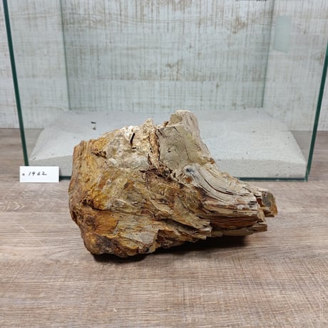 BIG木化石　NO.1962（W約23cm/H約16cm)(45cm水槽）
