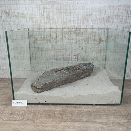 BIGドラゴンストーン　１点もの　No.1972（W約34cm/H約9㎝) (45㎝水槽)