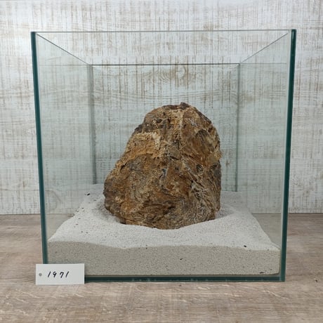 BIG木化石　NO.1971（W約22cm/H約11cm)(30cm水槽）