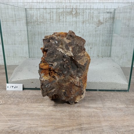 BIG木化石　NO.1960（W約22cm/H約15cm)(45cm水槽）