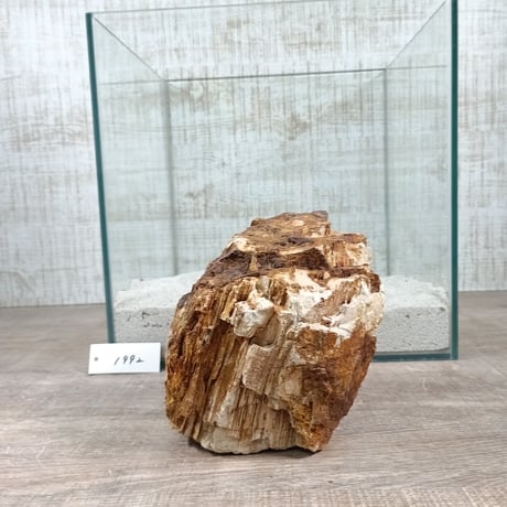 BIG木化石　NO.1992（W約13cm/H約14cm)(30cm水槽）
