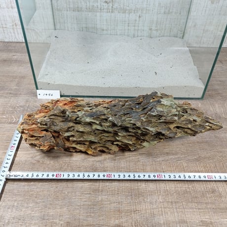 BIG気孔石　１点もの　No.1956（W約41cm)(45cm水槽）