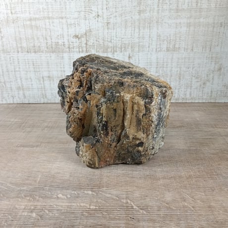 BIG木化石　NO.1991（W約13cm/H約13cm)(30cm水槽）