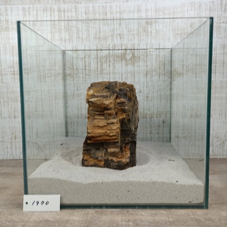 BIG木化石　NO.1970（W約16cm/H約9cm)(30cm水槽）