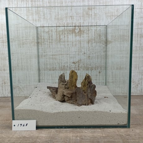 希少気孔石山  小サイズ（美型） 一点物の水槽オブジェ No. 19678 (30cm水槽)(W約18cm/H約9cm)