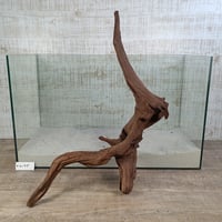 Long マングローブ系流木  2L～3L サイズ　オンリーワン ★現物撮影  1点　No.2185(W約58㎝）