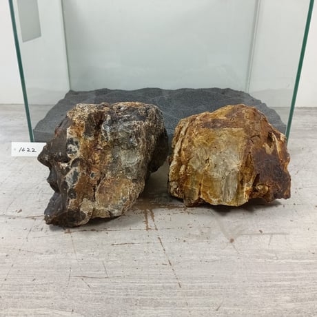 BIG木化石　2個セットNO.1622（W約21cm/W約17cm)(45cm水槽）