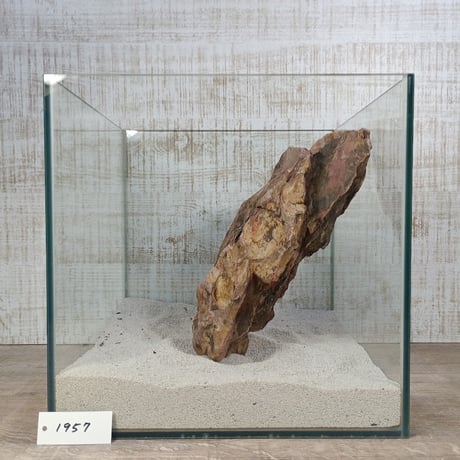 BIG気孔石　１点もの　No.1957（W約30cm)(30cm水槽）