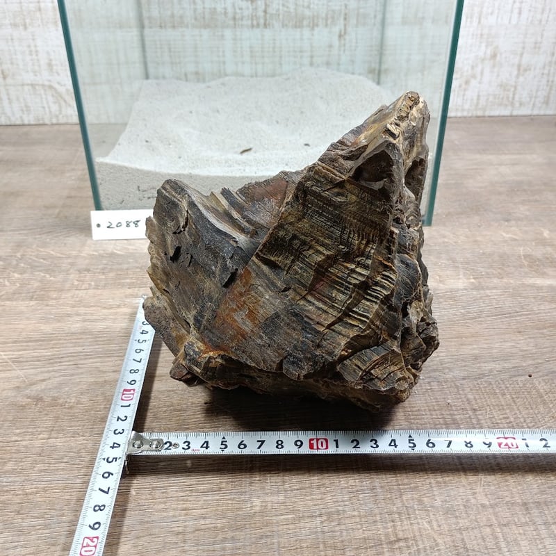 BIG木化石 NO.2088（W約19/約H17cm/約3kg)(30cm水槽） | 流木専門