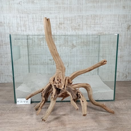ナチュラルブランチ　Lサイズ　　NO.2152　(W約46㎝)　オンリーワン ★現物撮影 1点物