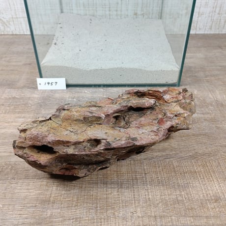 BIG気孔石　１点もの　No.1957（W約30cm)(30cm水槽）