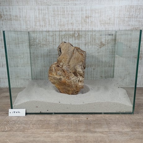 BIG木化石　NO.1962（W約23cm/H約16cm)(45cm水槽）
