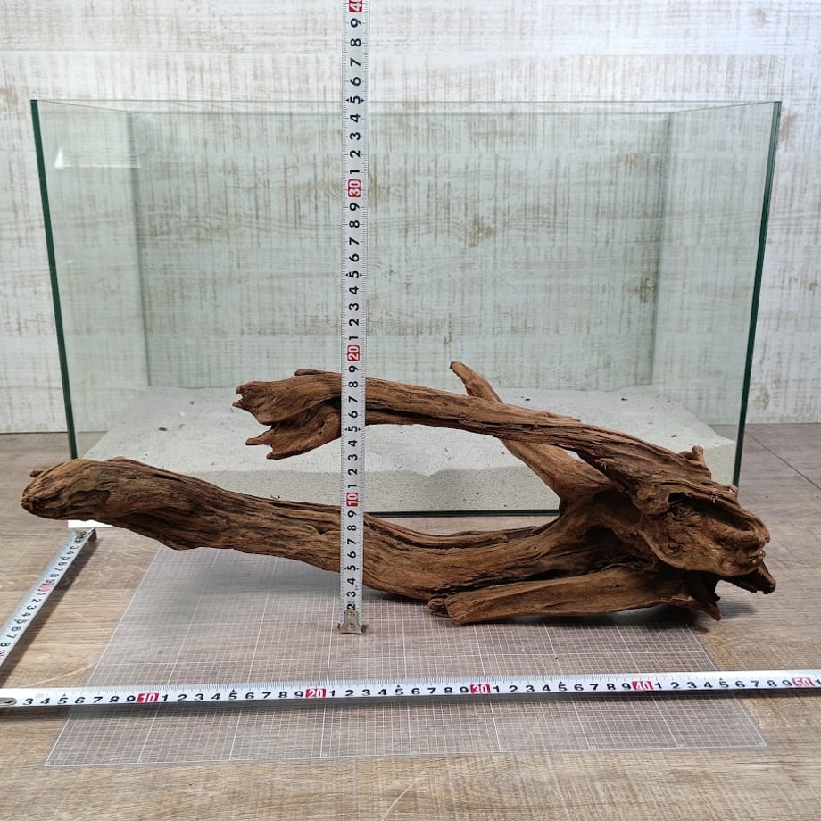6adb007a13d6d6f248258648