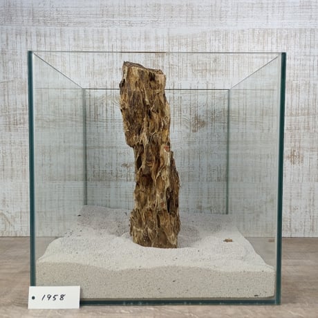 BIG気孔石　１点もの　No.1958（W約31cm)(30cm水槽）
