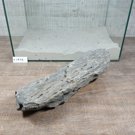 BIGドラゴンストーン　１点もの　No.1972（W約34cm/H約9㎝) (45㎝水槽)