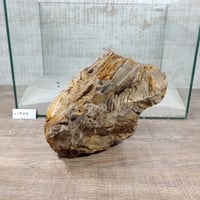 BIG木化石　NO.1962（W約23cm/H約16cm)(45cm水槽）