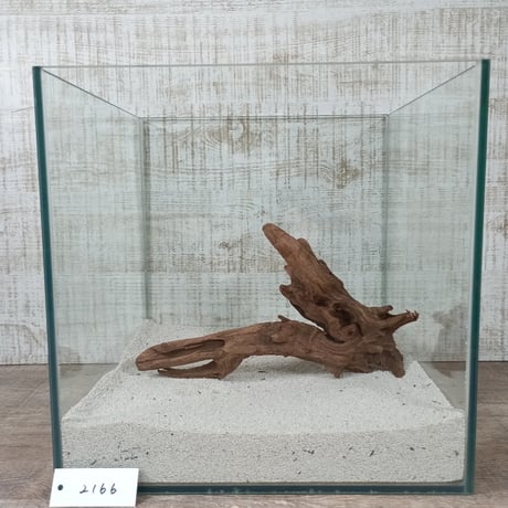 マングローブ系流木  Mサイズ　オンリーワン ★現物撮影  1点　No.2166(W約26㎝）