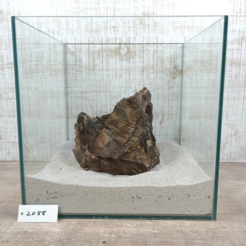 BIG木化石 NO.2088（W約19/約H17cm/約3kg)(30cm水槽） | 流木専門