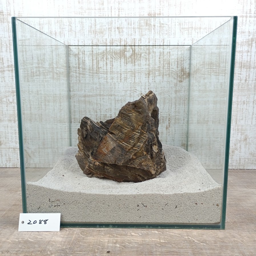 木化石 BIG木化石 NO.2088（W約19/約H17cm/約3kg)(30cm水槽） | 流木専門