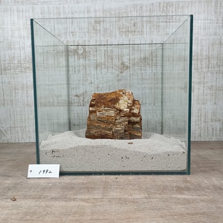 BIG木化石　NO.1992（W約13cm/H約14cm)(30cm水槽）