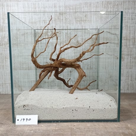 CATEGORY 流木（全種類） | 流木専門店のアクアリバー/アクアリウム