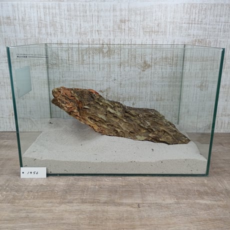 BIG気孔石　１点もの　No.1956（W約41cm)(45cm水槽）