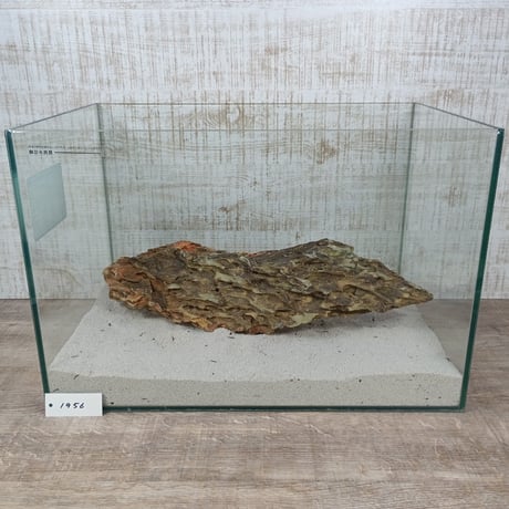 BIG気孔石　１点もの　No.1956（W約41cm)(45cm水槽）
