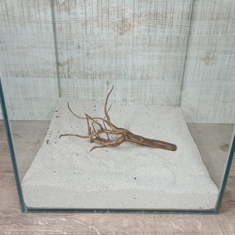 ネシア流木 ブラウンタイプSサイズ約10cmから20cm    形状おまかせ10本セット