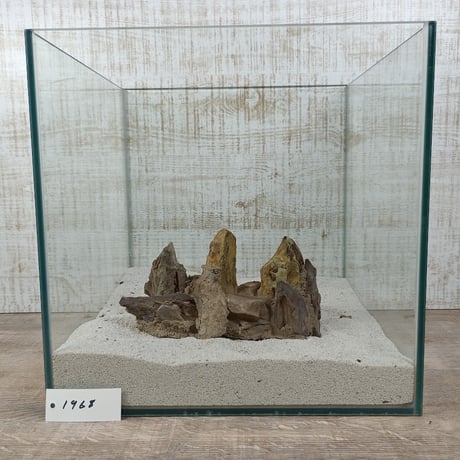 希少気孔石山  小サイズ（美型） 一点物の水槽オブジェ No. 19678 (30cm水槽)(W約18cm/H約9cm)