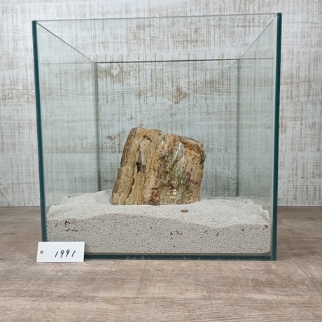 BIG木化石　NO.1991（W約13cm/H約13cm)(30cm水槽）