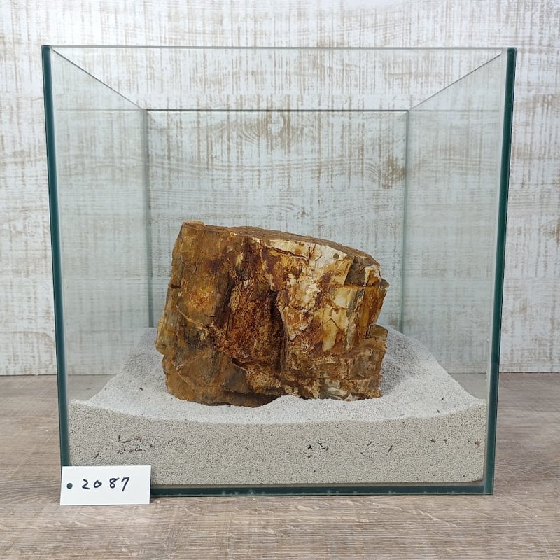 BIG木化石 NO.2087（W約18/約H16cm/約3.1kg)(30cm水槽） | 流木