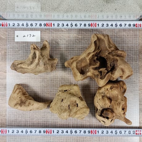 マングローブ系流木 5点セット ★現物撮影 No.2172(W約13-10-10-9-9㎝）  ★個性際立つオブジェ、インテリアにも★